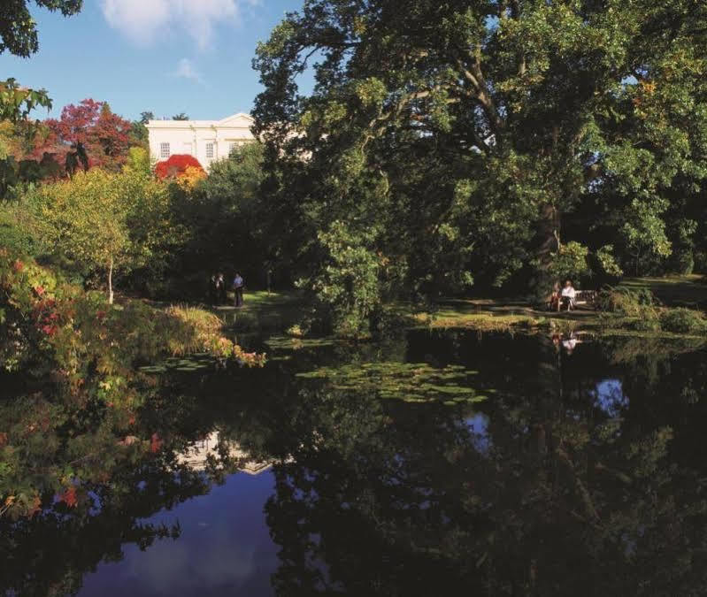 Hotel Sunningdale Park Ascot  Exteriér fotografie